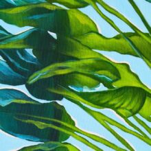 Flavour-of-Dubrovnik-1c