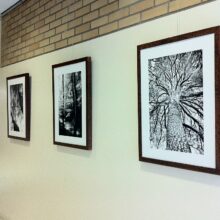 TheEnergyOfTreesExhibition_Portugal2011_9