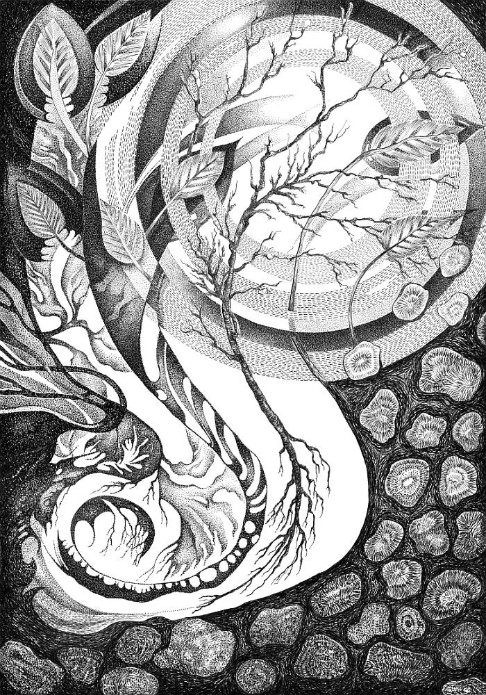 creation_of_plants_1