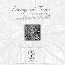 danuta_antas_solo_exhibition_portugal-1