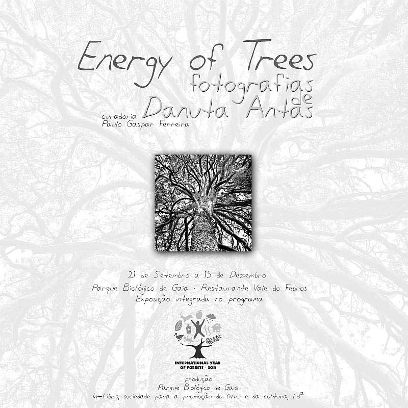 danuta_antas_solo_exhibition_portugal-1