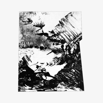 grafika__Danuta_Antas_wystawa_arsenal_88