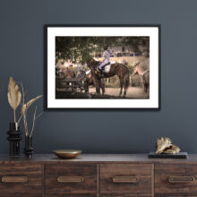 Horse and Rider colour photography