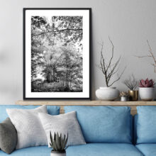 Let-me-Live_Willow-tree-1a