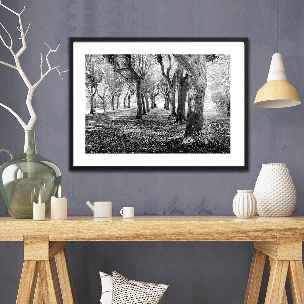 Palace-Garden-path-1a