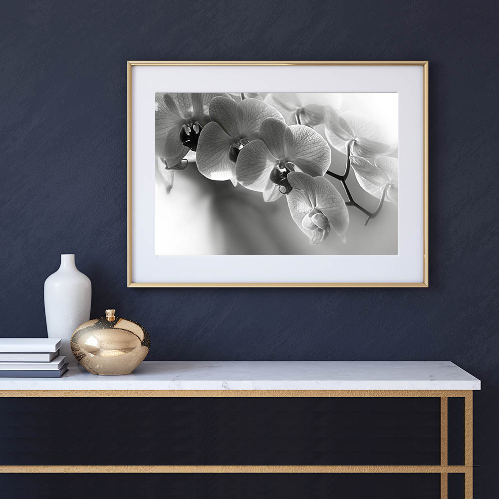 Orchids Trio Flower Photography prints