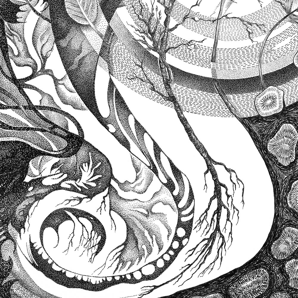 creation_of_plants_2