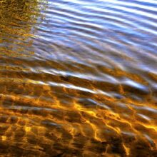 water_abstract_danuta_antas_23